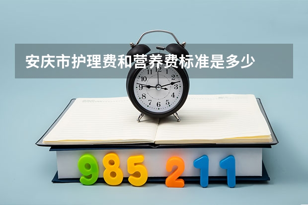 安庆市护理费和营养费标准是多少