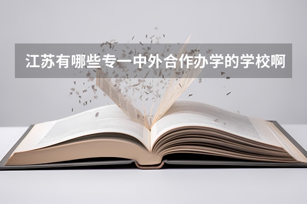 江苏有哪些专一中外合作办学的学校啊