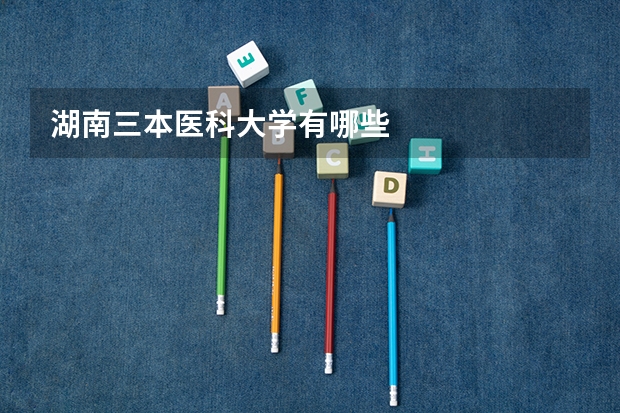湖南三本医科大学有哪些