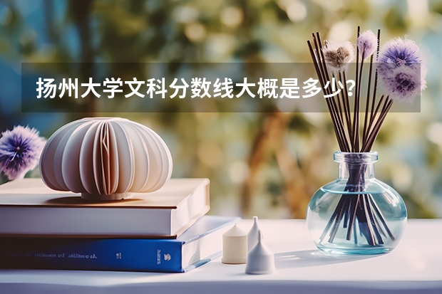 扬州大学文科分数线大概是多少？