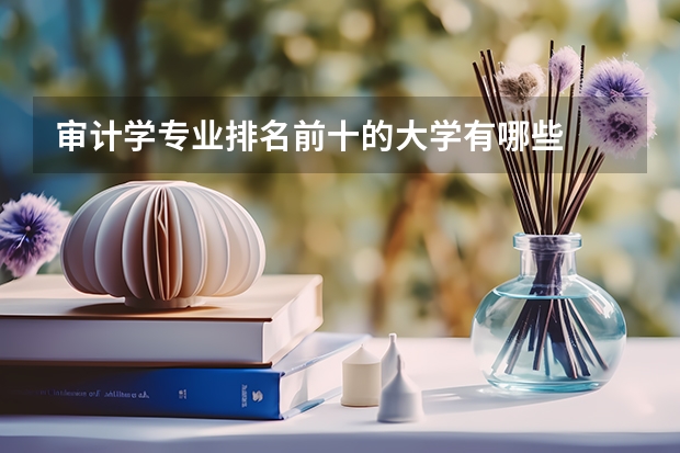 审计学专业排名前十的大学有哪些