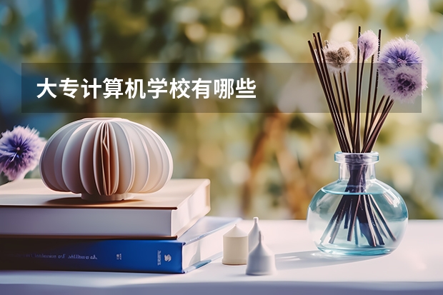 大专计算机学校有哪些