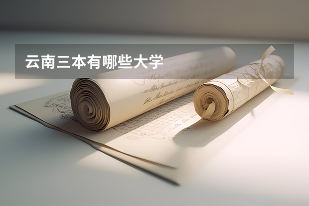 云南三本有哪些大学