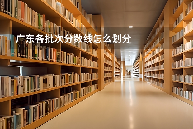 广东各批次分数线怎么划分
