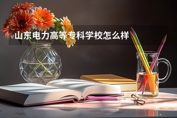 山东电力高等专科学校怎么样