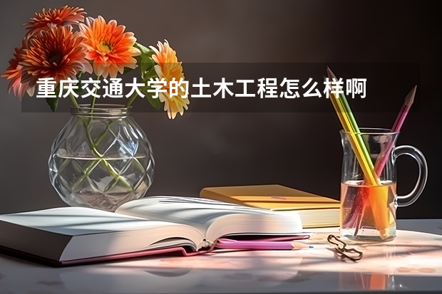 重庆交通大学的土木工程怎么样啊