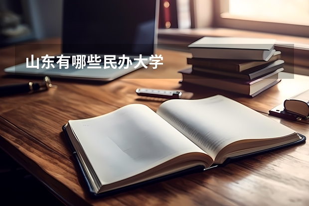 山东有哪些民办大学