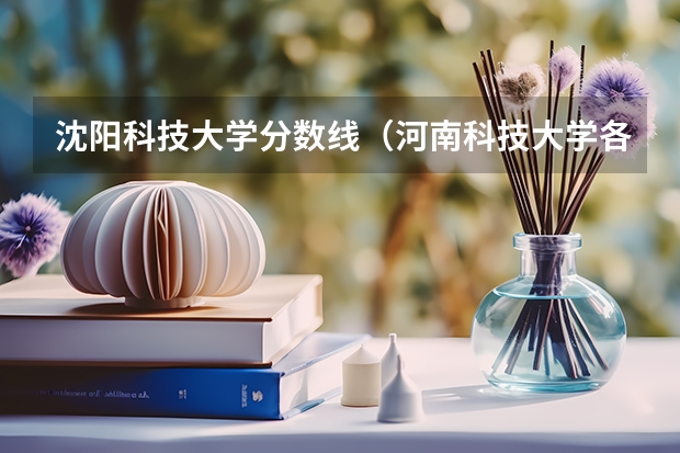 沈阳科技大学分数线（河南科技大学各专业录取分数线）