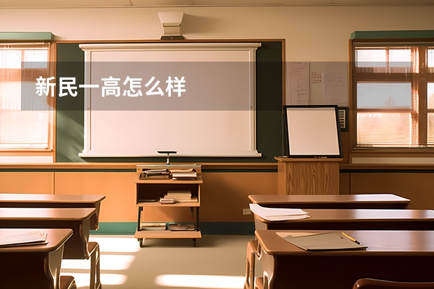 新民一高怎么样