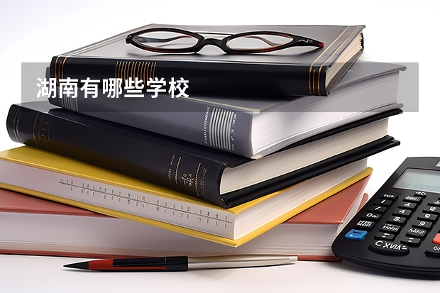 湖南有哪些学校