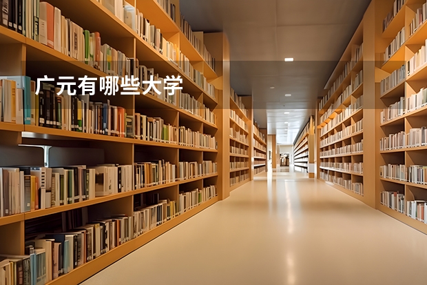 广元有哪些大学