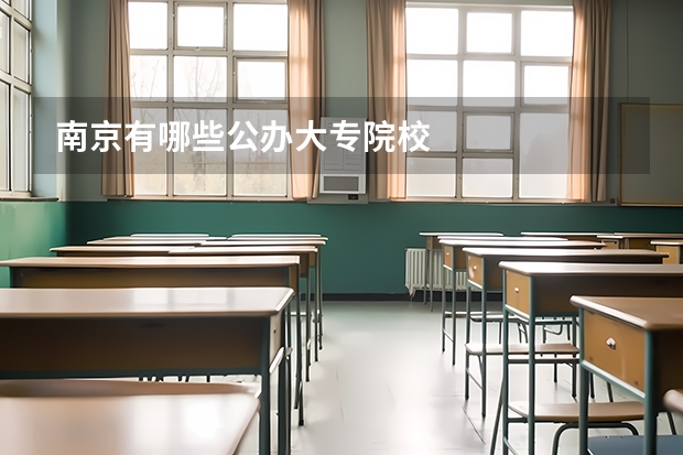 南京有哪些公办大专院校