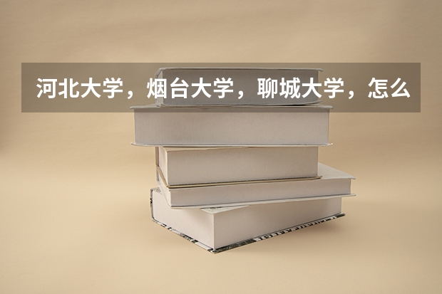 河北大学，烟台大学，聊城大学，怎么排？
