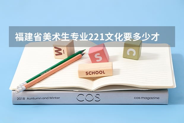 福建省美术生专业221文化要多少才能上一个大学？