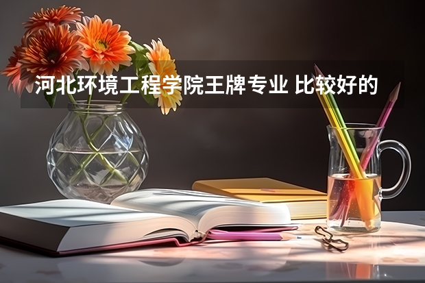 河北环境工程学院王牌专业 比较好的特色专业名单 唐山工业职业技术学院王牌专业