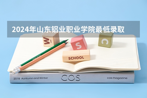 2024年山东铝业职业学院最低录取分数线是多少 山东历年录取分数线