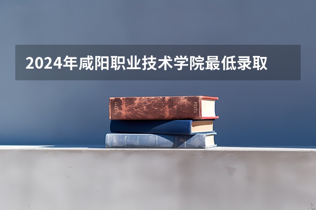 2024年咸阳职业技术学院最低录取分数线是多少 陕西历年录取分数线