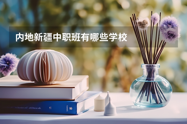 内地新疆中职班有哪些学校