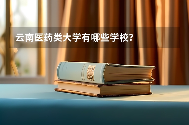 云南医药类大学有哪些学校？
