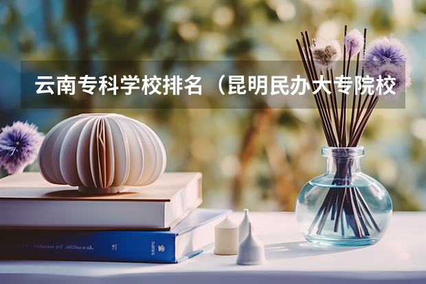 云南专科学校排名（昆明民办大专院校排名）