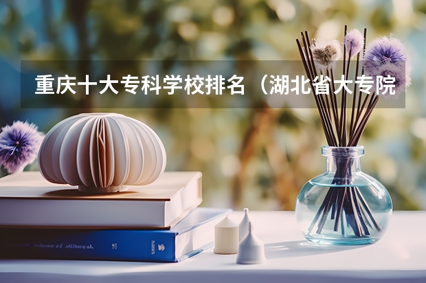 重庆十大专科学校排名（湖北省大专院校排名）