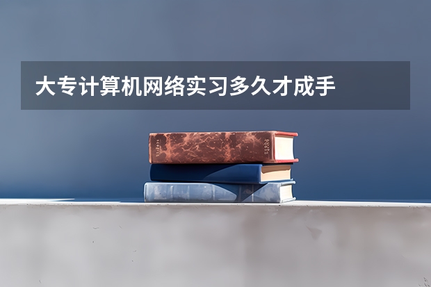 大专计算机网络实习多久才成手