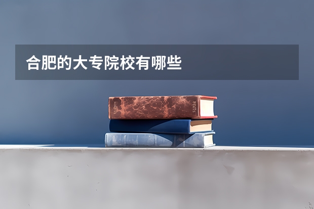 合肥的大专院校有哪些