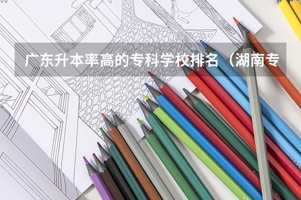 广东升本率高的专科学校排名（湖南专升本录取率排名）