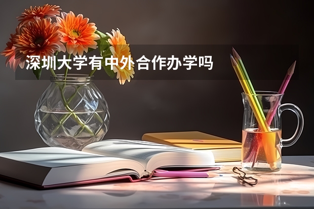 深圳大学有中外合作办学吗