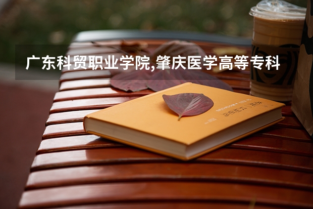 广东科贸职业学院,肇庆医学高等专科学校,广东建设职业技术学院，广州工程技术职业学院哪个好？