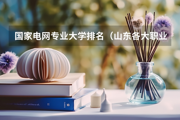 国家电网专业大学排名（山东各大职业学院排名）