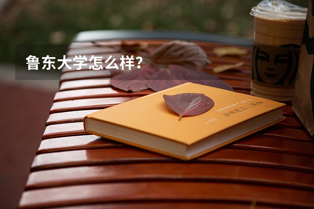 鲁东大学怎么样？