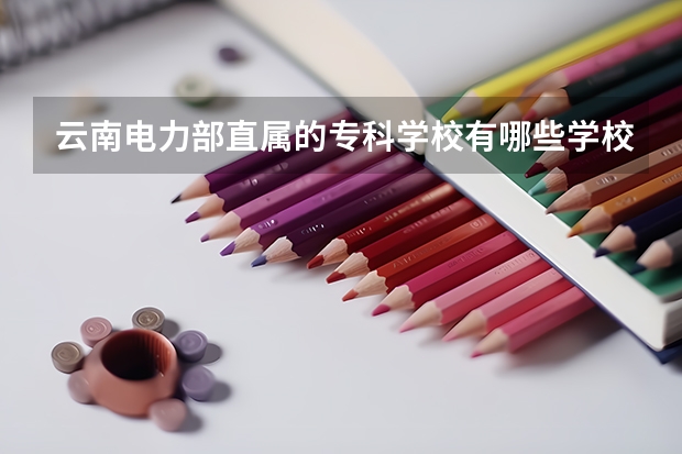 云南电力部直属的专科学校有哪些学校？