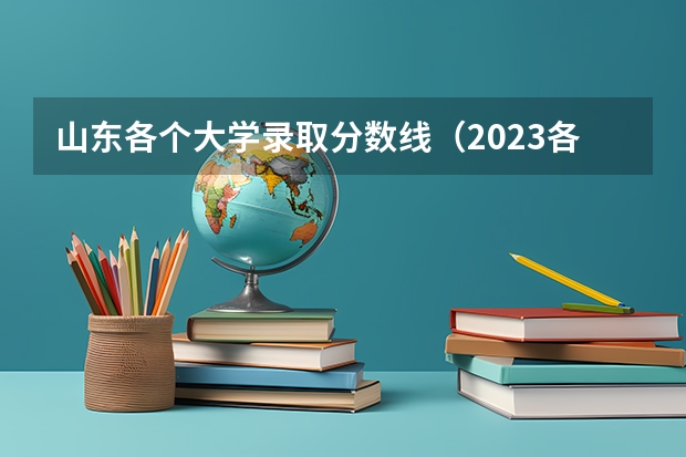 山东各个大学录取分数线（2023各大学在山东录取分数线）