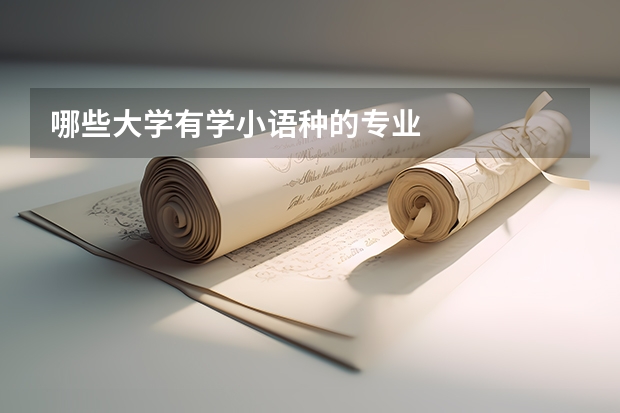 哪些大学有学小语种的专业