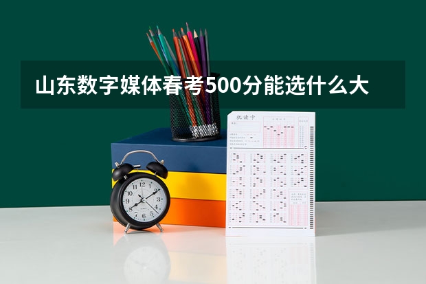 山东数字媒体春考500分能选什么大学