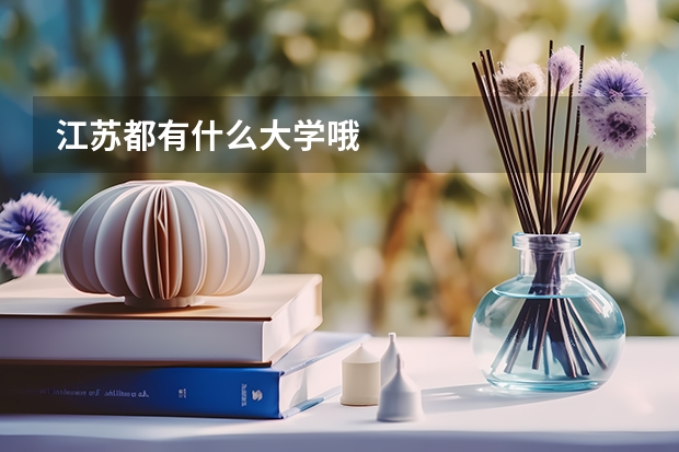江苏都有什么大学哦