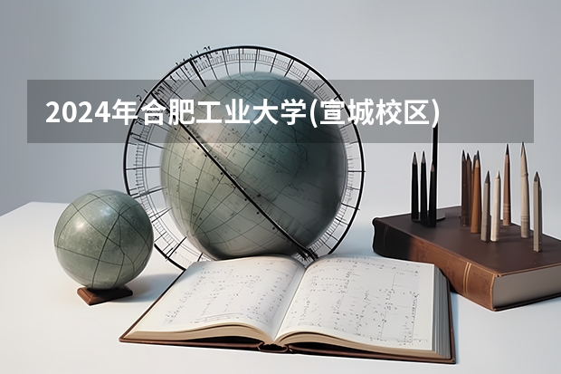 2024年合肥工业大学(宣城校区)在海南招生计划（招生人数）