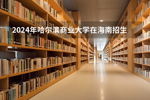 2024年哈尔滨商业大学在海南招生计划（招生人数）