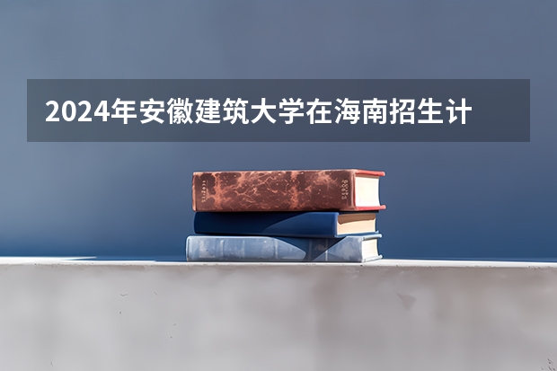 2024年安徽建筑大学在海南招生计划（招生人数）