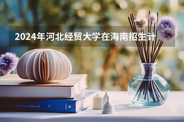 2024年河北经贸大学在海南招生计划（招生人数）