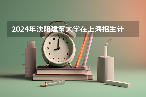 2024年沈阳建筑大学在上海招生计划（招生人数）