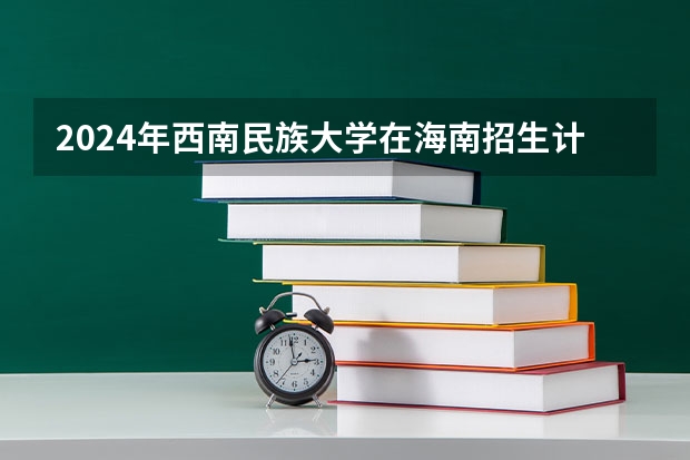 2024年西南民族大学在海南招生计划（招生人数）
