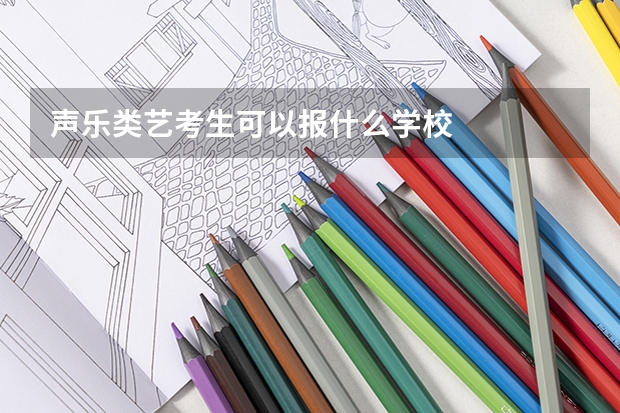 声乐类艺考生可以报什么学校