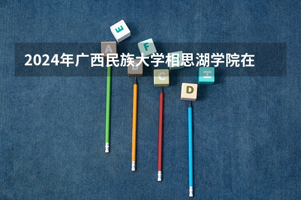2024年广西民族大学相思湖学院在海南招生计划（招生人数）