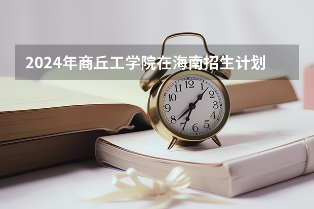 2024年商丘工学院在海南招生计划（招生人数）