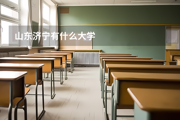 山东济宁有什么大学
