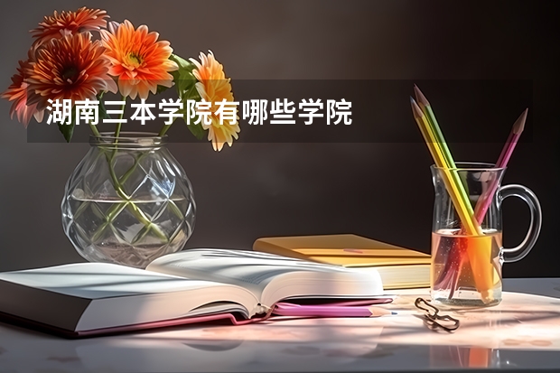 湖南三本学院有哪些学院