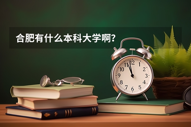 合肥有什么本科大学啊？