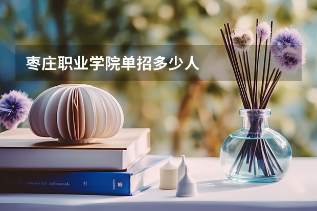 枣庄职业学院单招多少人